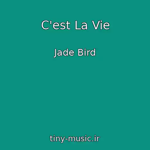 کاور آهنگ C'est La Vie از Jade Bird