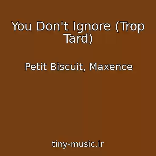 کاور آهنگ You Don't Ignore (Trop Tard) از Petit Biscuit, Maxence