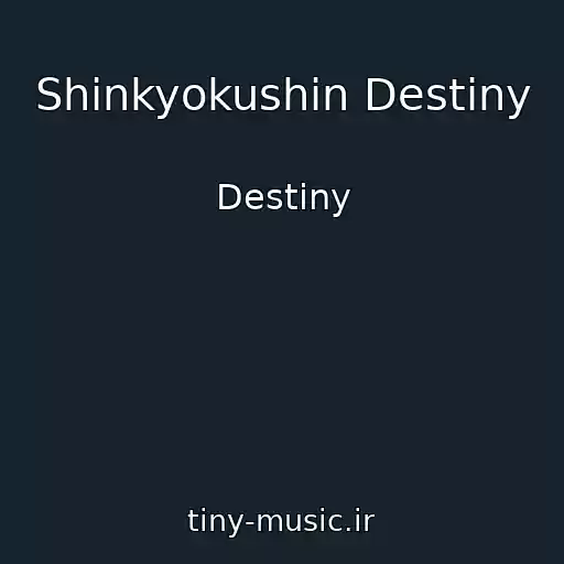 کاور آهنگ Shinkyokushin Destiny از Destiny