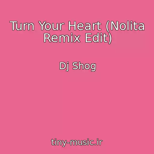 کاور آهنگ Turn Your Heart (Nolita Remix Edit) از Dj Shog