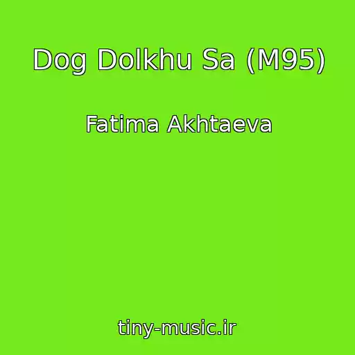 کاور آهنگ Dog Dolkhu Sa (M95) از Fatima Akhtaeva