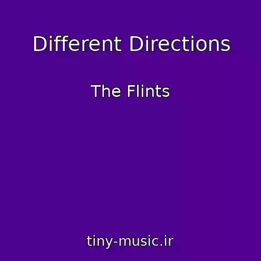 کاور آهنگ Different Directions از The Flints