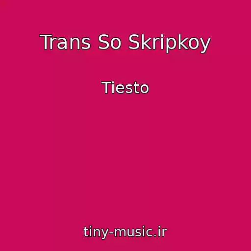 کاور آهنگ Trans So Skripkoy از Tiesto
