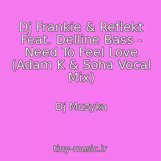 کاور آهنگ Dj Frankie & Reflekt Feat. Delline Bass - Need To Feel Love (Adam K & Soha Vocal Mix) از Dj Muzyka