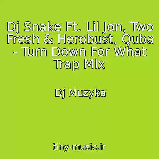 کاور آهنگ Dj Snake Ft. Lil Jon, Two Fresh & Herobust, Quba - Turn Down For What Trap Mix از Dj Muzyka