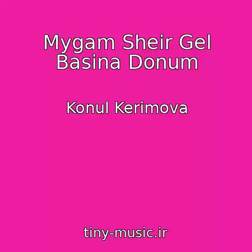 کاور آهنگ Mygam Sheir Gel Basina Donum از Konul Kerimova