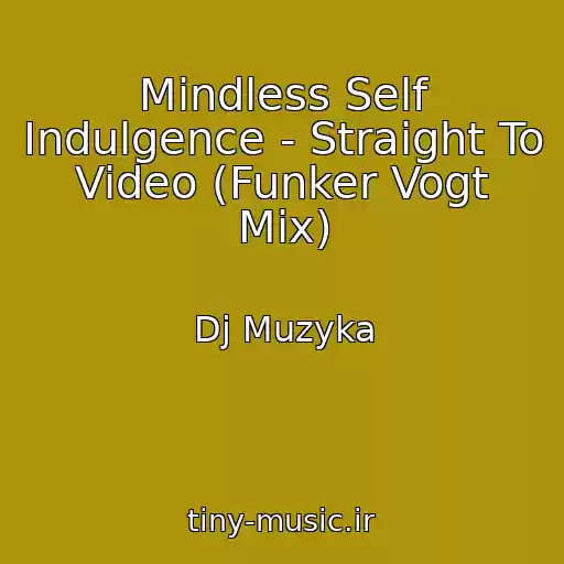 کاور آهنگ Mindless Self Indulgence - Straight To Video (Funker Vogt Mix) از Dj Muzyka