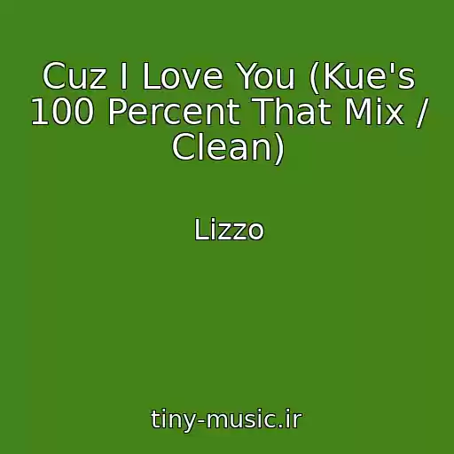 کاور آهنگ Cuz I Love You (Kue's 100 Percent That Mix / Clean) از Lizzo