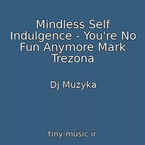 کاور آهنگ Mindless Self Indulgence - You're No Fun Anymore Mark Trezona از Dj Muzyka