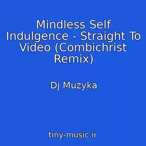 کاور آهنگ Mindless Self Indulgence - Straight To Video (Combichrist Remix) از Dj Muzyka