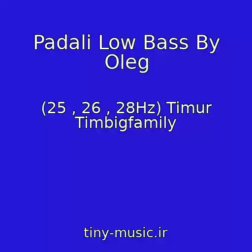 کاور آهنگ Padali Low Bass By Oleg از (25 , 26 , 28Hz) Timur Timbigfamily