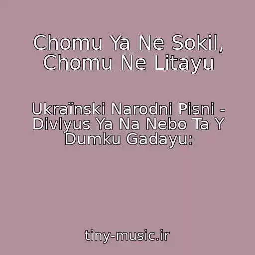 کاور آهنگ Chomu Ya Ne Sokіl, Chomu Ne Lіtayu از Ukraїnskі Narodnі Pіsnі - Divlyus Ya Na Nebo Ta Y Dumku Gadayu: