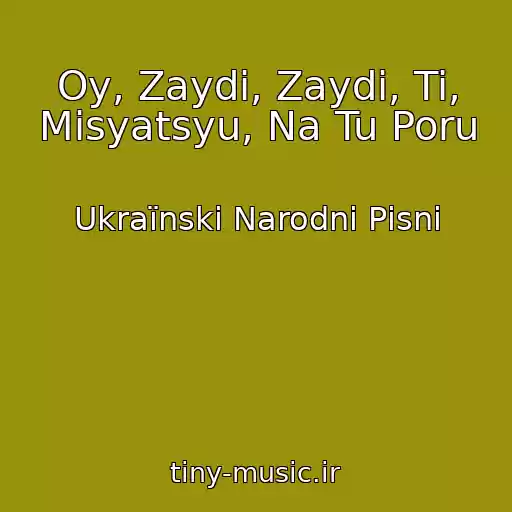 کاور آهنگ Oy, Zaydi, Zaydi, Ti, Mіsyatsyu, Na Tu Poru از Ukraїnskі Narodnі Pіsnі