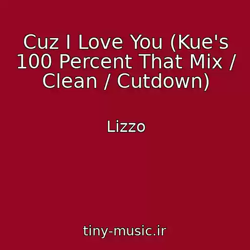 کاور آهنگ Cuz I Love You (Kue's 100 Percent That Mix / Clean / Cutdown) از Lizzo