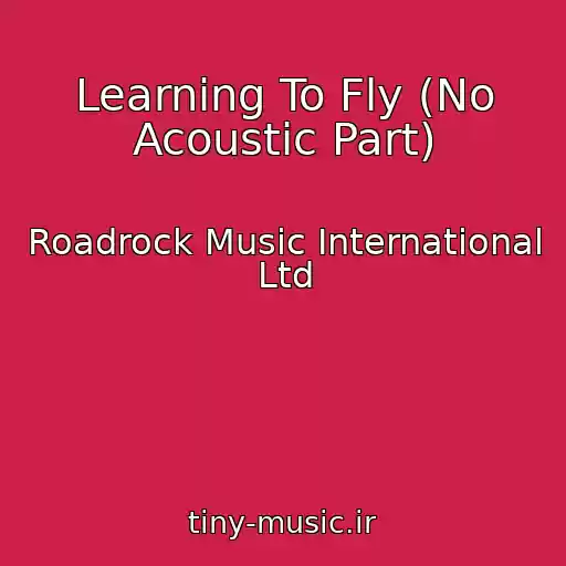 کاور آهنگ Learning To Fly (No Acoustic Part) از Roadrock Music International Ltd