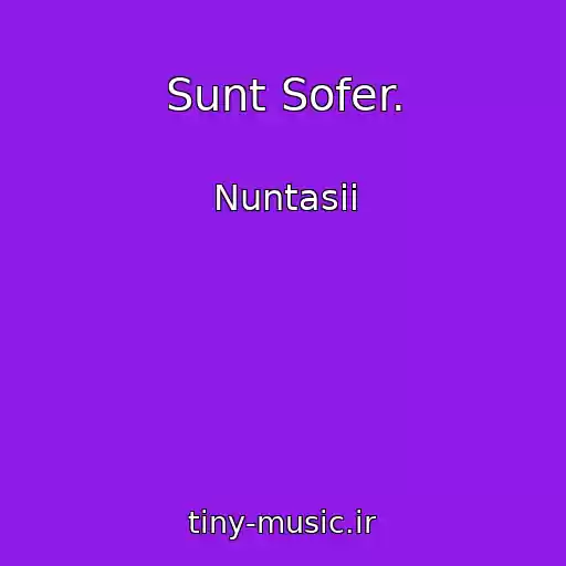 کاور آهنگ Sunt Sofer. از Nuntasii