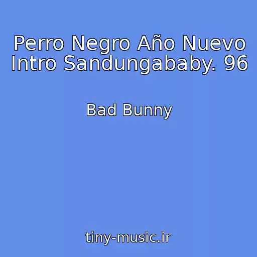 کاور آهنگ Perro Negro Año Nuevo Intro Sandungababy. 96 از Bad Bunny