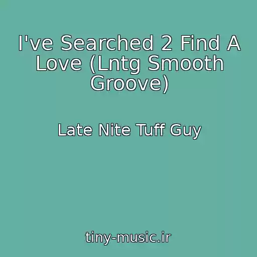 کاور آهنگ I've Searched 2 Find A Love (Lntg Smooth Groove) از Late Nite Tuff Guy