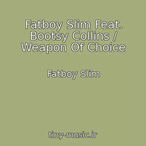 کاور آهنگ Fatboy Slim Feat. Bootsy Collins / Weapon Of Choice از Fatboy Slim