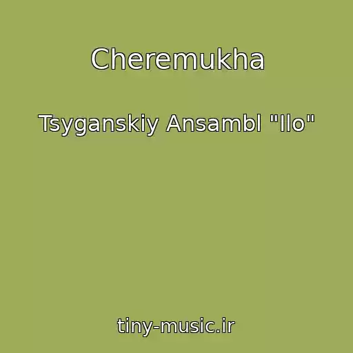 کاور آهنگ Cheremukha از Tsyganskiy Ansambl "Ilo"