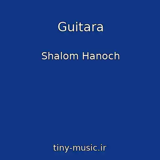 کاور آهنگ Guitara از Shalom Hanoch