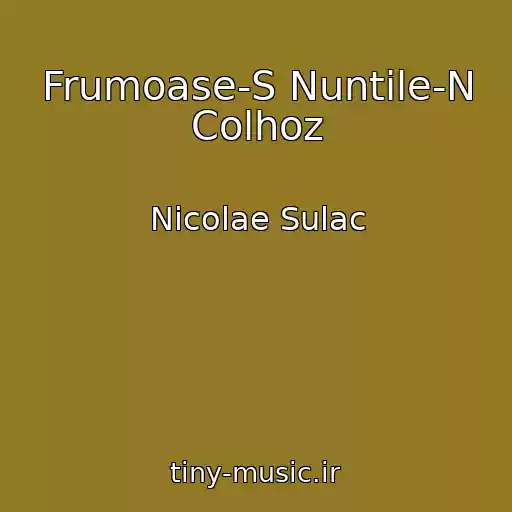 کاور آهنگ Frumoase-S Nuntile-N Colhoz از Nicolae Sulac