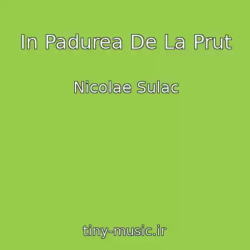 کاور آهنگ In Padurea De La Prut از Nicolae Sulac