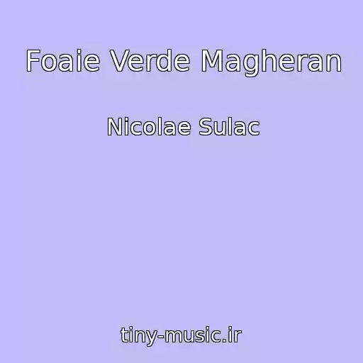 کاور آهنگ Foaie Verde Magheran از Nicolae Sulac