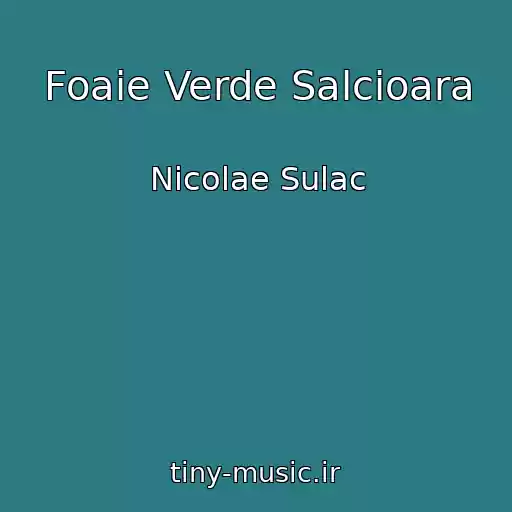 کاور آهنگ Foaie Verde Salcioara از Nicolae Sulac