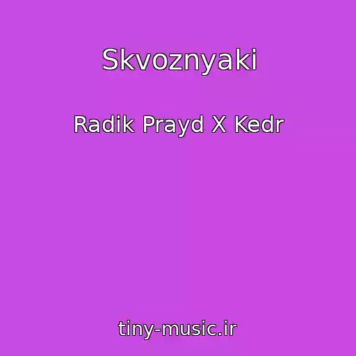 کاور آهنگ Skvoznyaki از Radik Prayd X Kedr