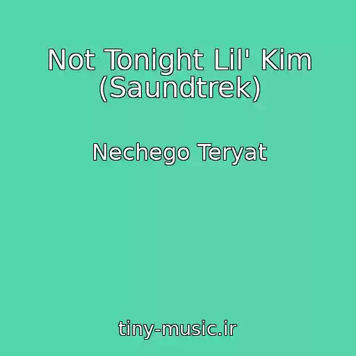 کاور آهنگ Not Tonight Lil' Kim (Saundtrek) از Nechego Teryat