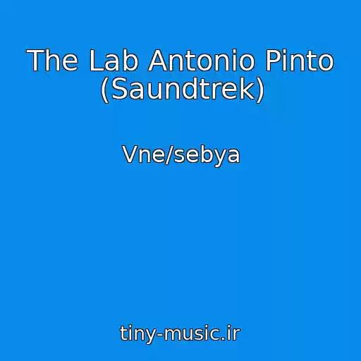 کاور آهنگ The Lab Antonio Pinto (Saundtrek) از Vne/sebya