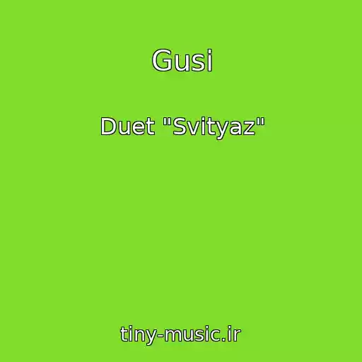کاور آهنگ Gusi از Duet "Svіtyaz"
