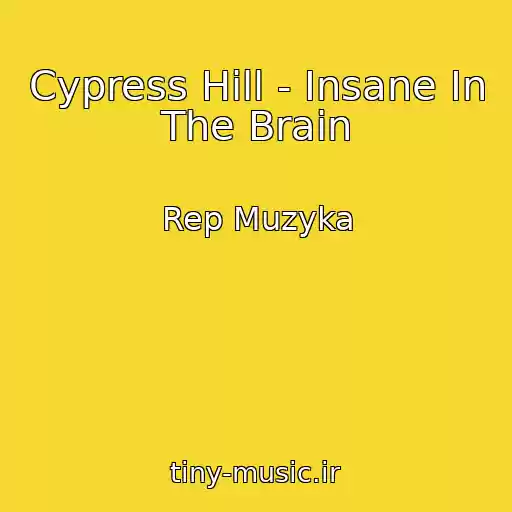 کاور آهنگ Cypress Hill - Insane In The Brain از Rep Muzyka