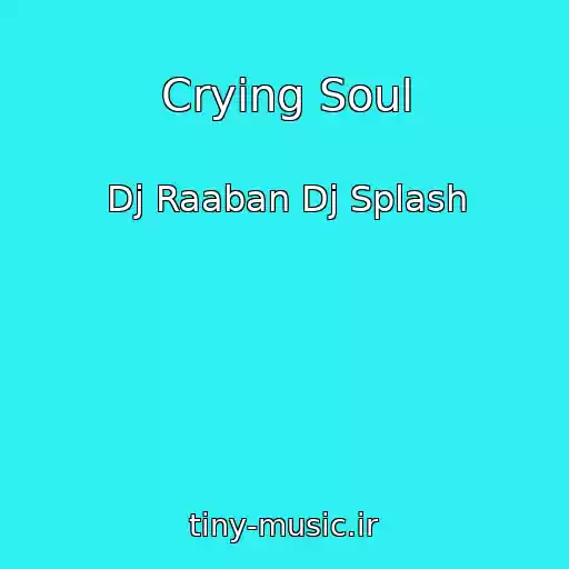 کاور آهنگ Crying Soul از Dj Raaban Dj Splash