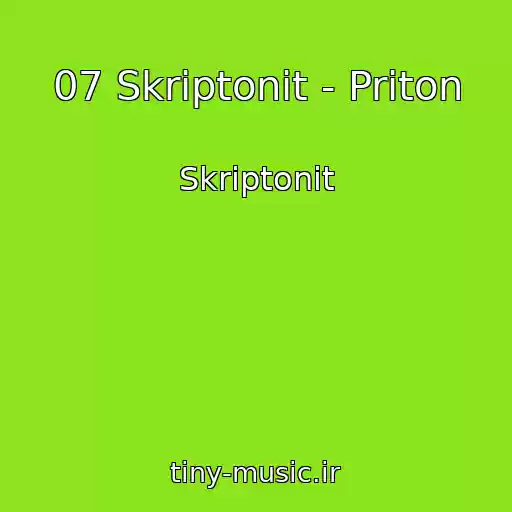 کاور آهنگ 07 Skriptonit - Priton از Skriptonit