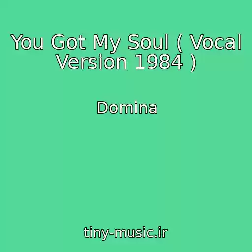 کاور آهنگ You Got My Soul ( Vocal Version 1984 ) از Domina