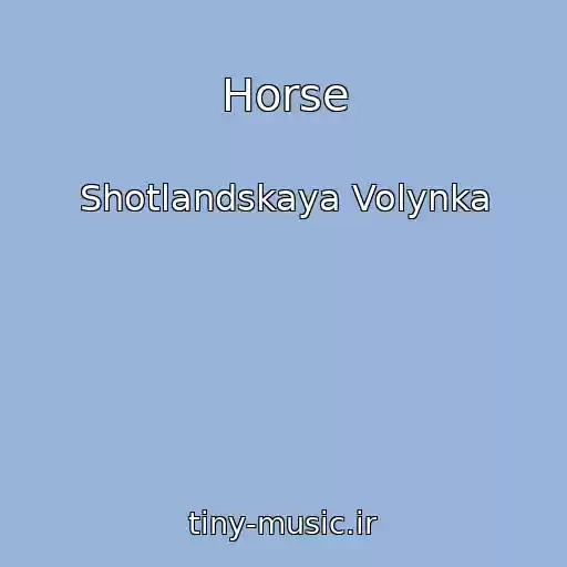 کاور آهنگ Horse از Shotlandskaya Volynka