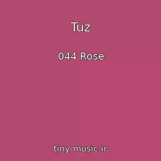 کاور آهنگ Tuz از 044 Rose