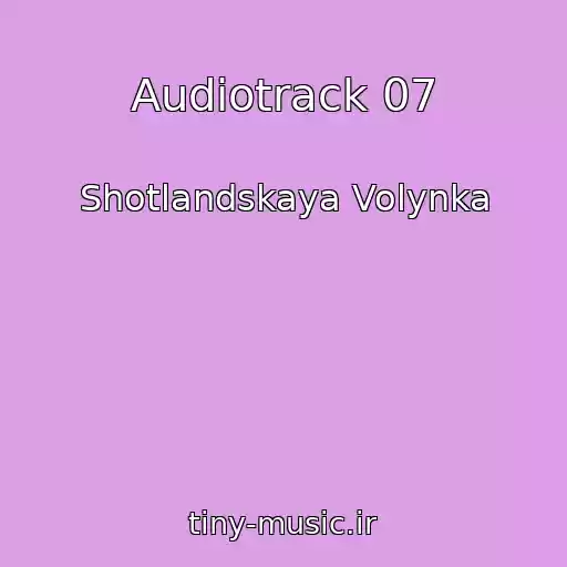 کاور آهنگ Audiotrack 07 از Shotlandskaya Volynka