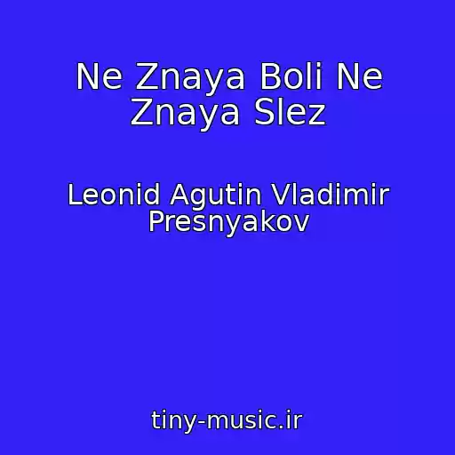 کاور آهنگ Ne Znaya Boli Ne Znaya Slez از Leonid Agutin Vladimir Presnyakov
