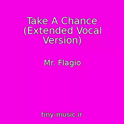 کاور آهنگ Take A Chance (Extended Vocal Version) از Mr. Flagio