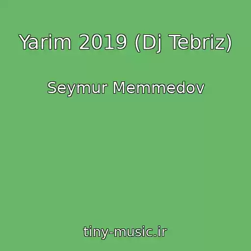 کاور آهنگ Yarim 2019 (Dj Tebriz) از Seymur Memmedov