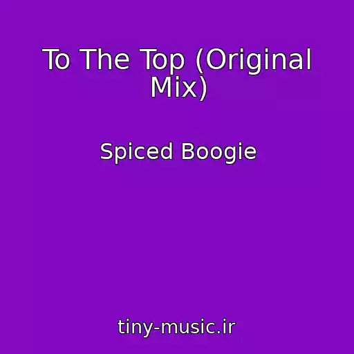 کاور آهنگ To The Top (Original Mix) از Spiced Boogie