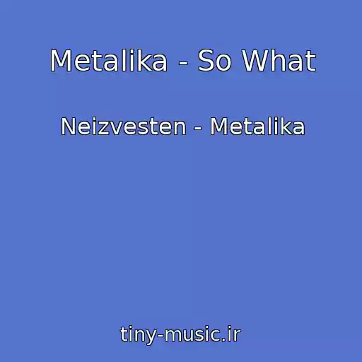 کاور آهنگ Metalika - So What از Neizvesten - Metalika