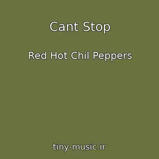 کاور آهنگ Cant Stop از Red Hot Chil Peppers