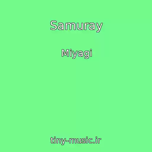 کاور آهنگ Samuray از Miyagi