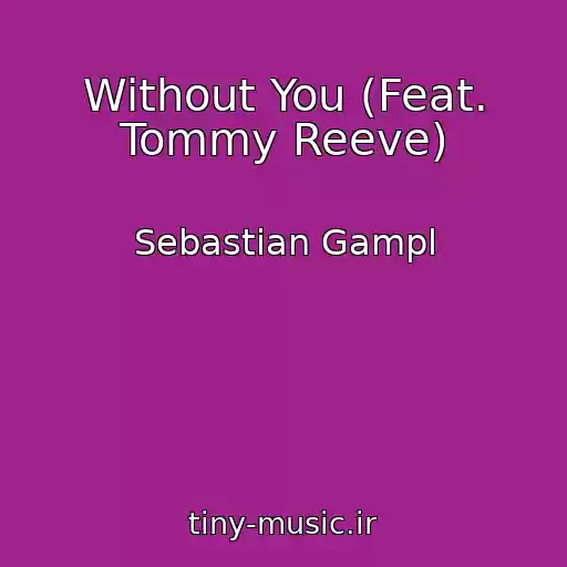 کاور آهنگ Without You (Feat. Tommy Reeve) از Sebastian Gampl