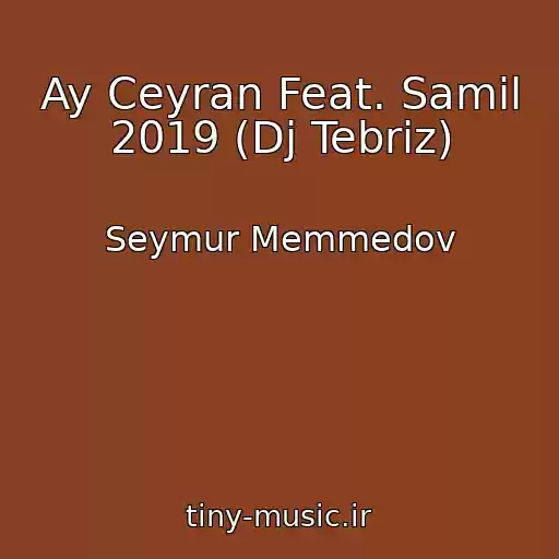 کاور آهنگ Ay Ceyran Feat. Samil 2019 (Dj Tebriz) از Seymur Memmedov