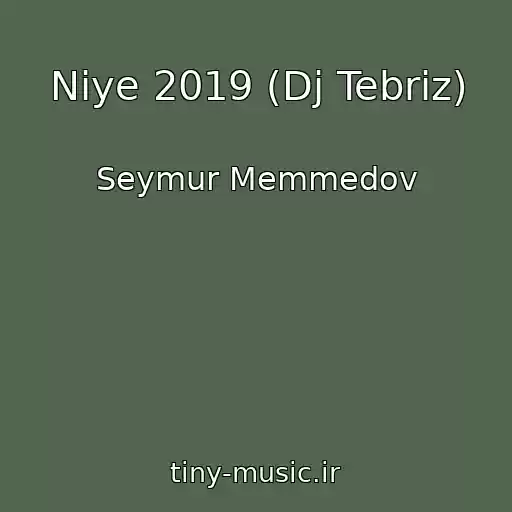 کاور آهنگ Niye 2019 (Dj Tebriz) از Seymur Memmedov